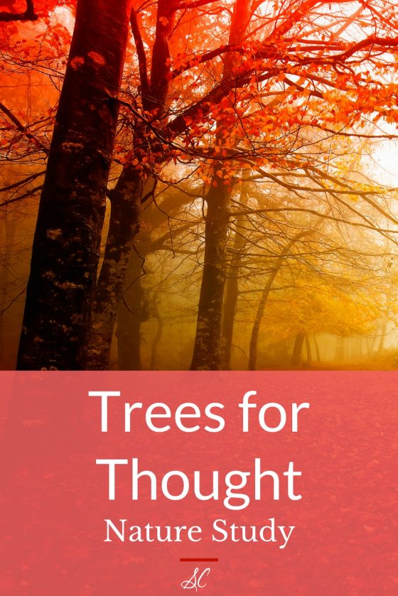 Trees for Thought