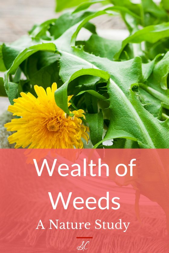 Wealth of Weeds