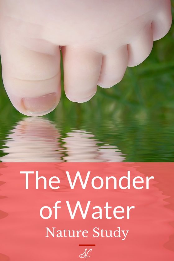 Wonder of Water