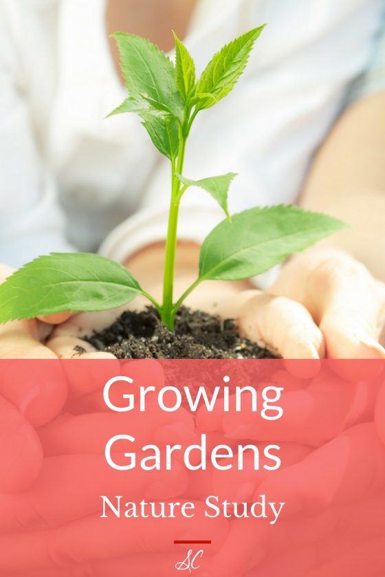 Growing Gardens