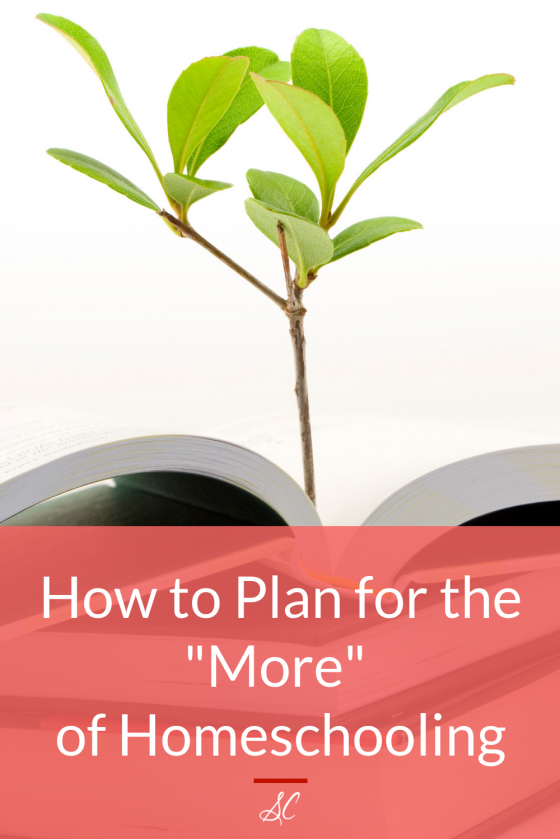 How to Plan for the "More" of Homeschooling